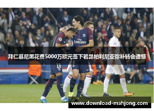 拜仁慕尼黑花费5000万欧元签下若昂帕利尼亚弥补转会遗憾