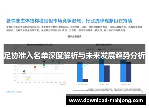 足协准入名单深度解析与未来发展趋势分析