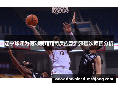 辽宁球迷为何对裁判判罚反应激烈深层次原因分析