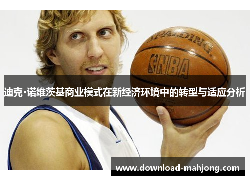 迪克·诺维茨基商业模式在新经济环境中的转型与适应分析