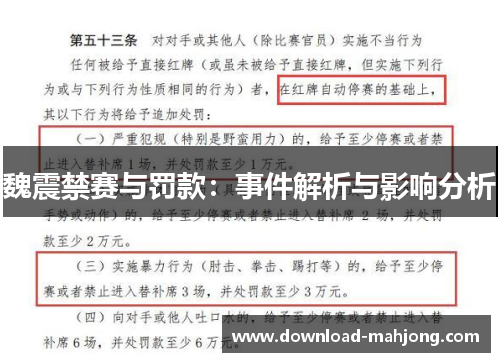 魏震禁赛与罚款：事件解析与影响分析